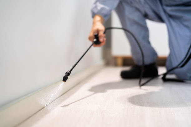 Licensed Mosquito Control service in Annapolis, MD - Show Me Pest Control