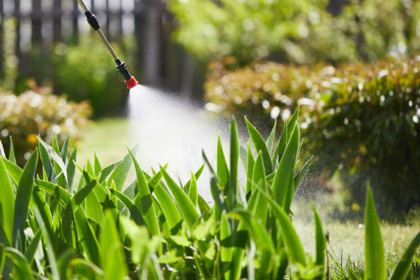 24/7 Emergency Mosquito Control experts in Annapolis, MD