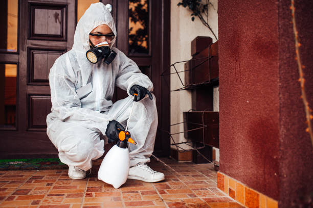Reliable Mosquito Control contractor in Annapolis, MD by Show Me Pest Control