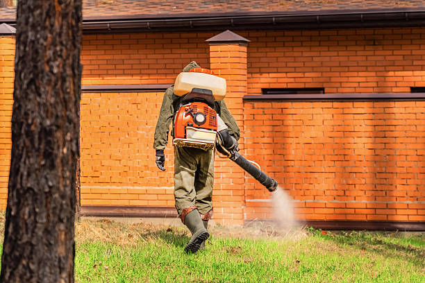 Top rated local Mosquito Control specialists in Annapolis, MD